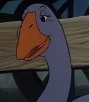 The Goose