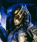 City Hunter Predator