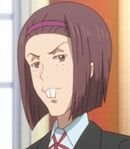 Noble Girl's Friends