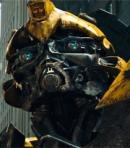 Bumblebee