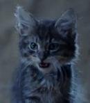 Hairball