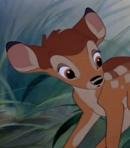 Bambi (Young)
