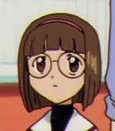 Nikki / Naoko Yanigasawa