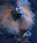 Greg the Head Frilled-Neck Lizard