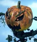 Great Pumpkin