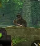 South American Enemies