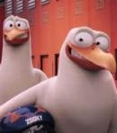 Miscellaneous Storks