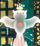 Tomo / Angel