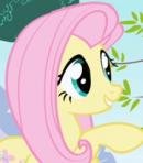 Fluttershy