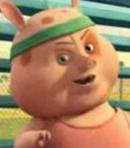 Pig Classmate 1
