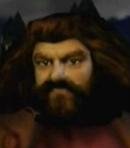 Rubeus Hagrid