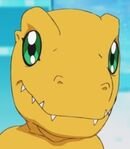 Agumon