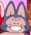 Puar