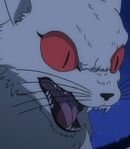 Giant Ghost Cat
