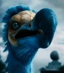 Dodo Bird