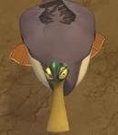 Duck #2