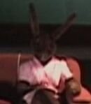 Jane Rabbit