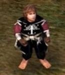 Peregrin "Pippin" Took