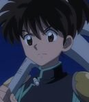 Kohaku (Young)