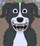 Mr. Pickles