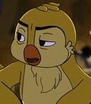 Harold (Bird Husband)