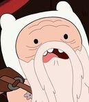 Finn the Human (Old)