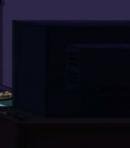 Dr. Temperance 'Bones' Brennan