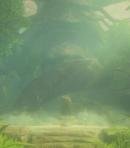 Great Deku Tree