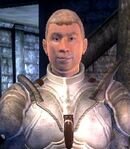 Bravil Fighters Guild Porter