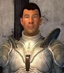 Cheydinhal Fighters Guild Porter