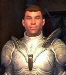 Leyawiin Fighters Guild Porter