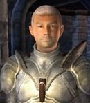 Skingrad Fighters Guild Porter