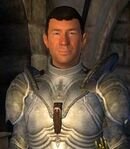 Battlehorn Castle Man-At-Arms Castellan