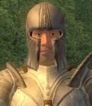 Battlehorn Castle Man-At-Arms 4