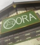 Horse Race Commentator