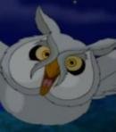 Great White Owl