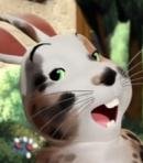 Lawrence / Mr. Cuddles