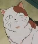 Buyo