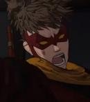 Red Robin / Tim Drake