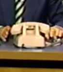 Polly, Albert Brooks' Parrot