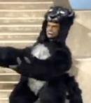Alfonso Ribeiro