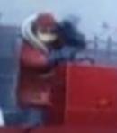 GreenPeace Worker 2
