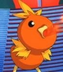 Torchic (May's)