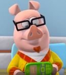 Sweater Pig