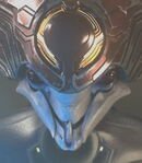 Harbinger