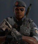 Capitão