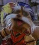 Sir Didymus