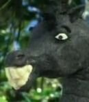 The Black Stallion