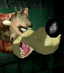 Banjo Head
