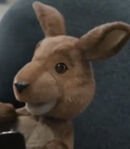 Hopper the Kangaroo